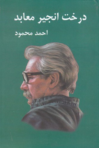 درخت انجیر معابد (2 جلدی) | احمد محمود | انتشارات معین