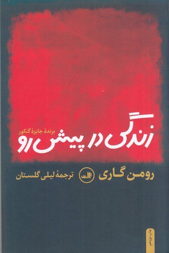 رومن گاری